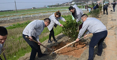 參加植樹造林，保護(hù)美麗家園！